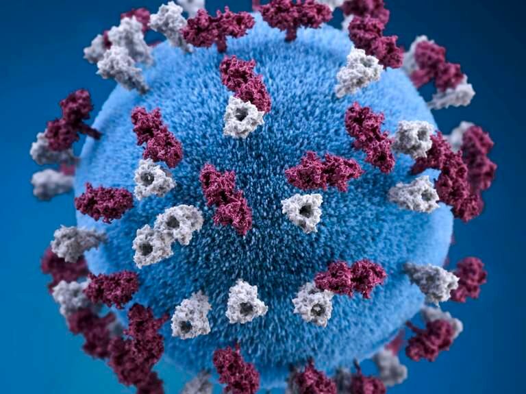 covid-19-coronavirus-covid-cell-pandemic-corona-virus-1608799-pxhere.com